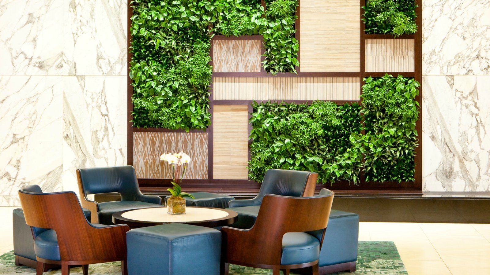 לינטיקום The Westin Baltimore Washington Airport - BWI מראה פנימי תמונה